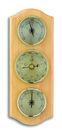 TFA: 20100011B  