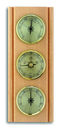TFA: 20100205B  .